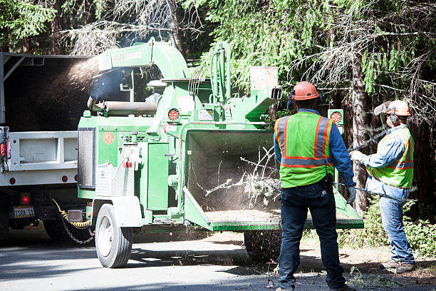 Best Soil Testing and Treatment  in Fremont, CA